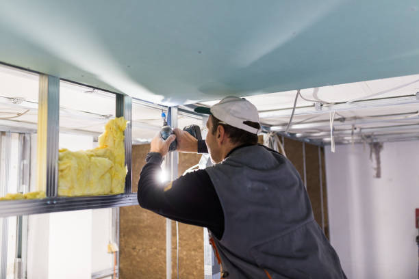 Best Professional Insulation Contractor  in Centralia, IL