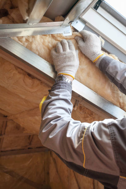 Best Insulation Repair Services  in Centralia, IL