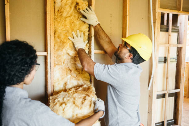 Best Spray Foam Insulation  in Centralia, IL