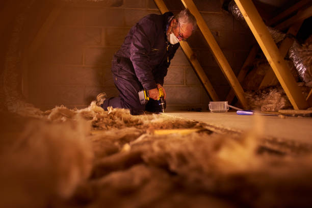 Best Local Insulation Services  in Centralia, IL
